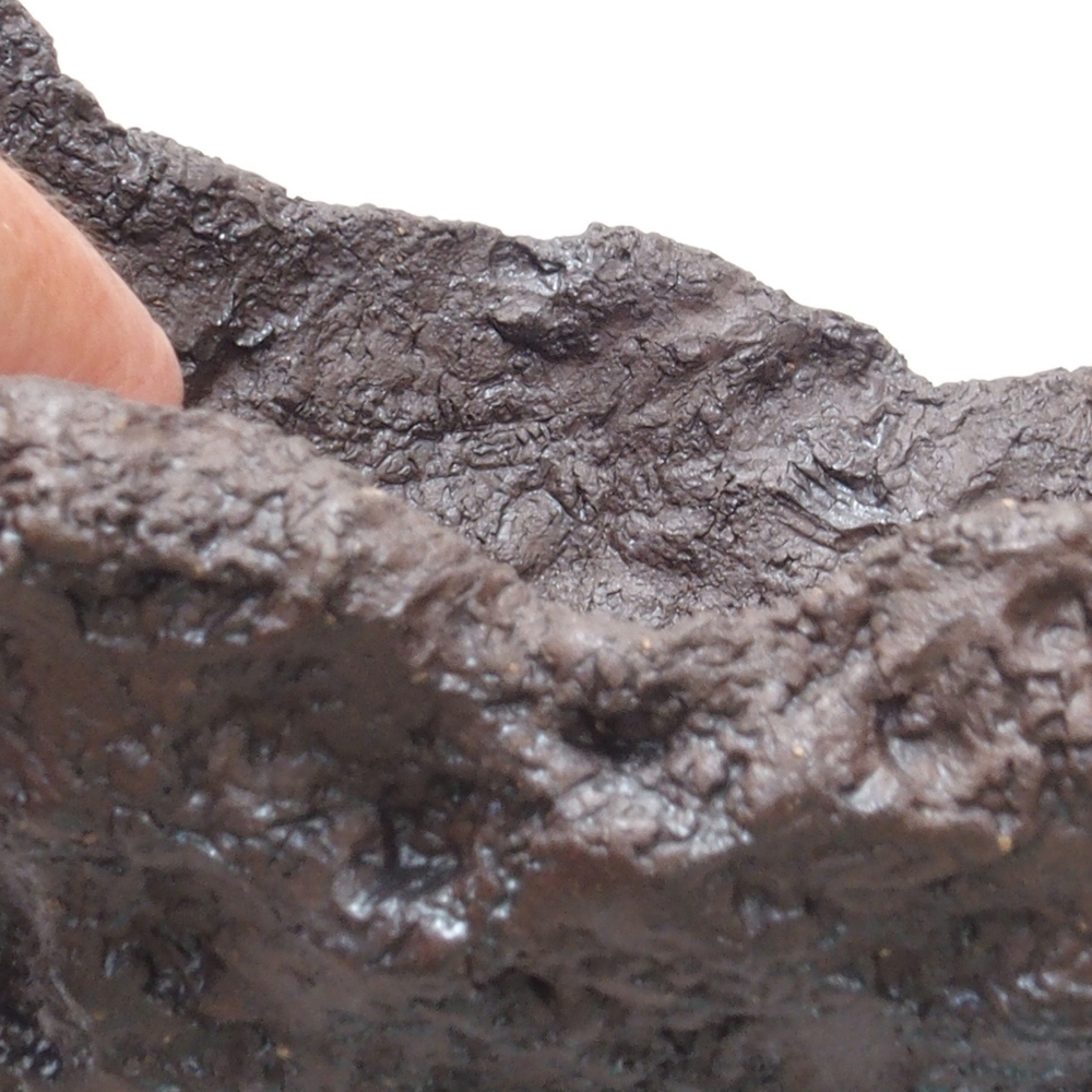 Concha de cerámica 18 x 14 x 14 cm , color marrón