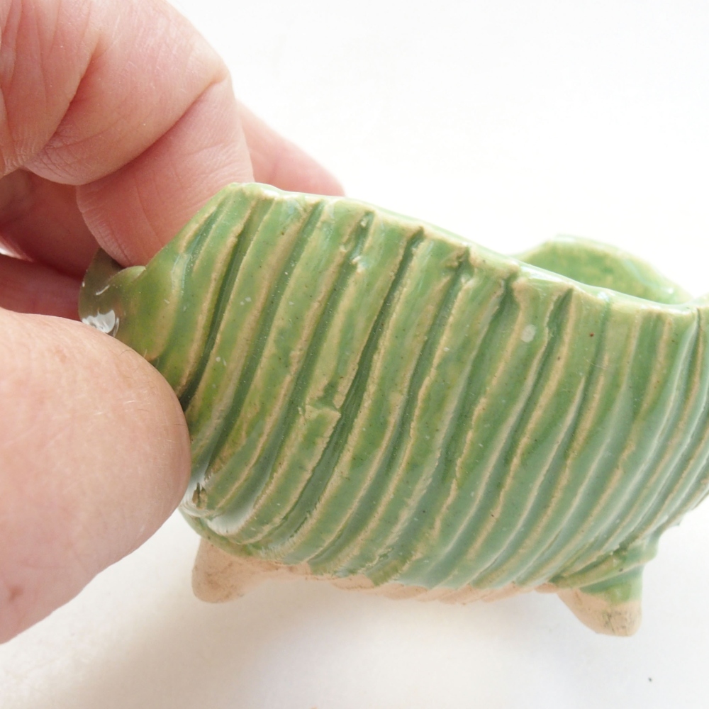 Concha de cerámica 7,5 x 7 x 4,5 cm , color verde