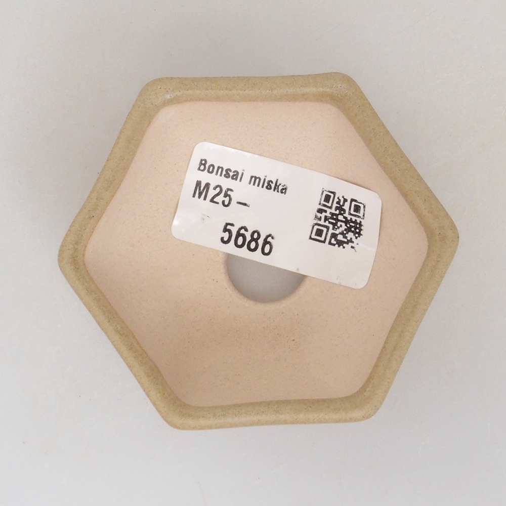 Cuenco mini bonsái 6,5 x 6 x 2,5 cm, marrón