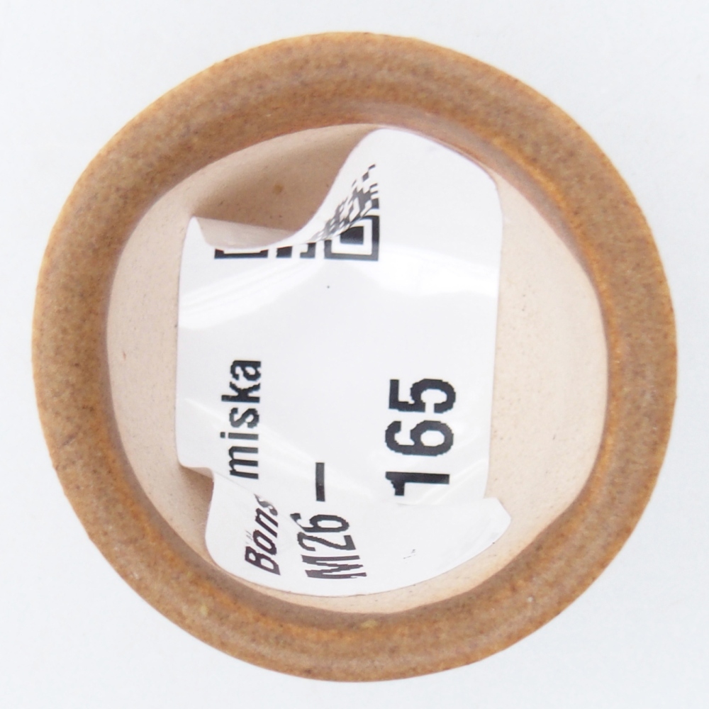 Cuenco mini bonsái 4 x 4 x 2 cm, marrón