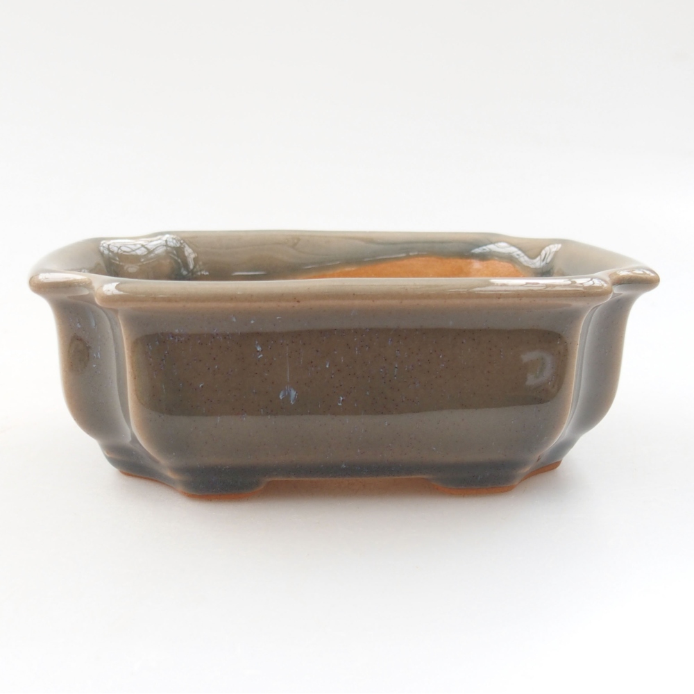 Cuenco bonsái de cerámica 22 x 17 x 5 cm, verde