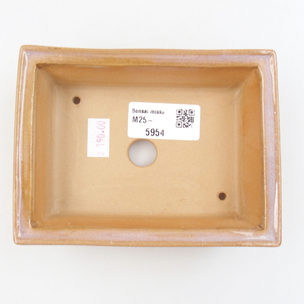 Cuenco bonsái de cerámica 22 x 17 x 5 cm, verde