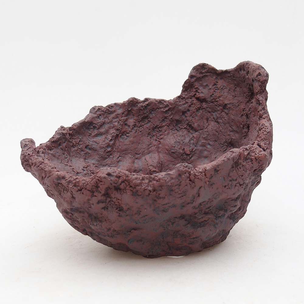 Concha de cerámica 14 x 13 x 11,5 cm , color marrón