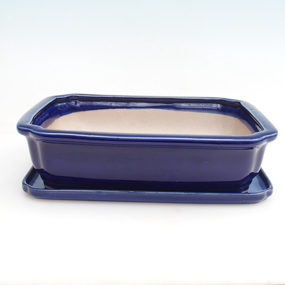 Cuenco bonsái + platillo H07 - 30 x 20,5 x 8 cm.