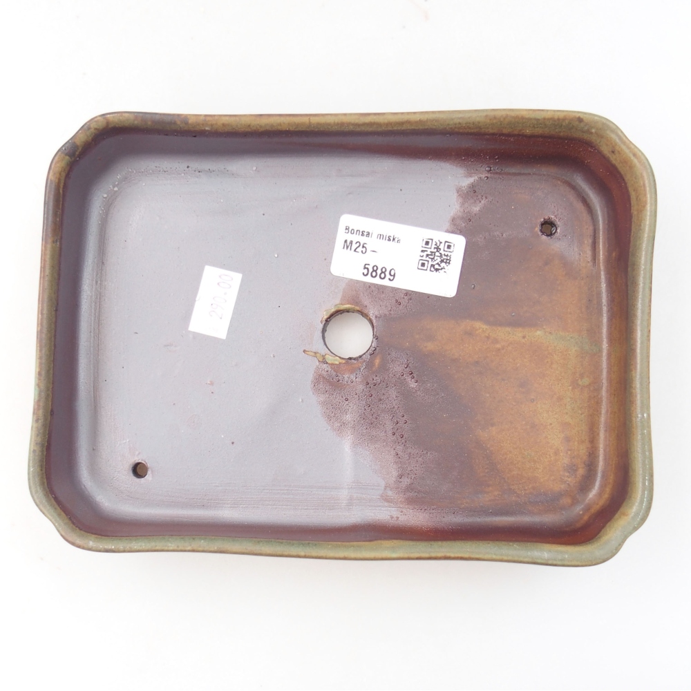 Cuenco bonsái de cerámica 22 x 17 x 5 cm, verde