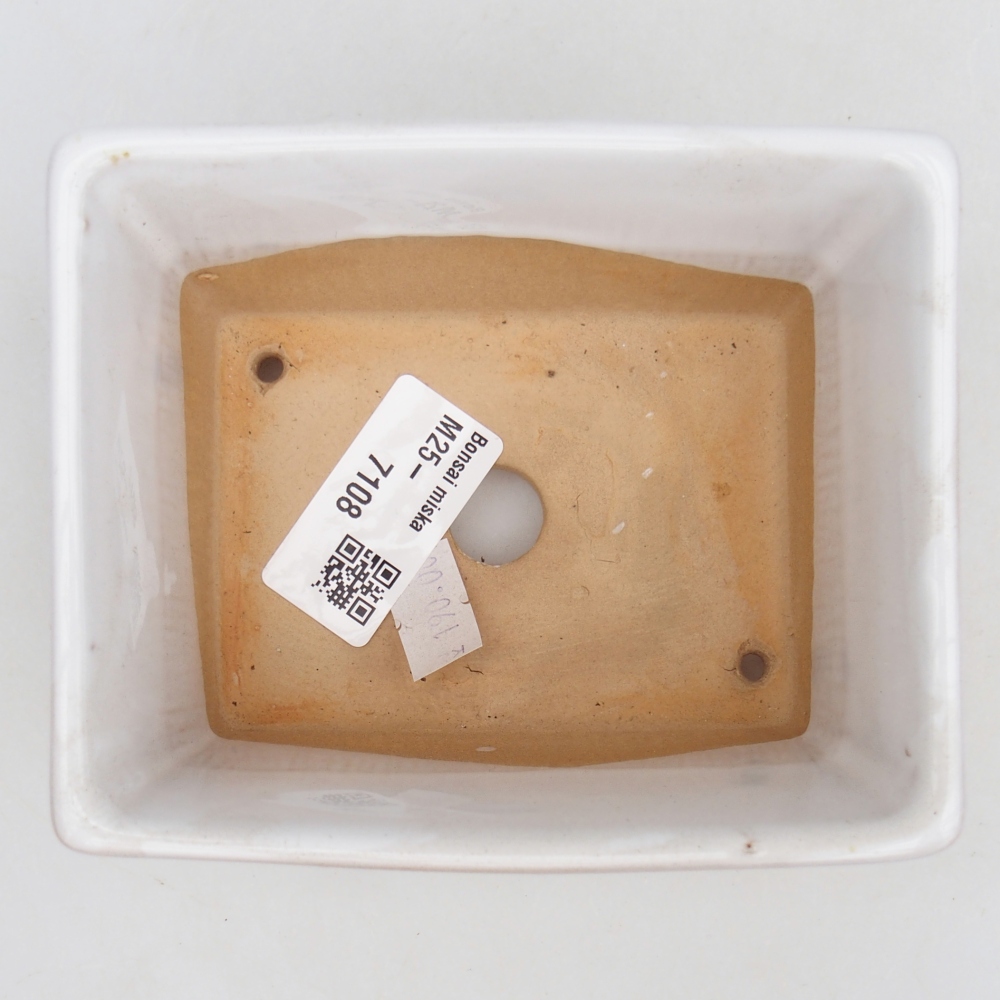 Cuenco bonsái de cerámica 11,5 x 9,5 x 6 cm, blanco