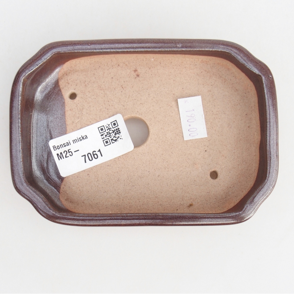 Cuenco bonsái de cerámica 12,5 x 9 x 3 cm, marrón