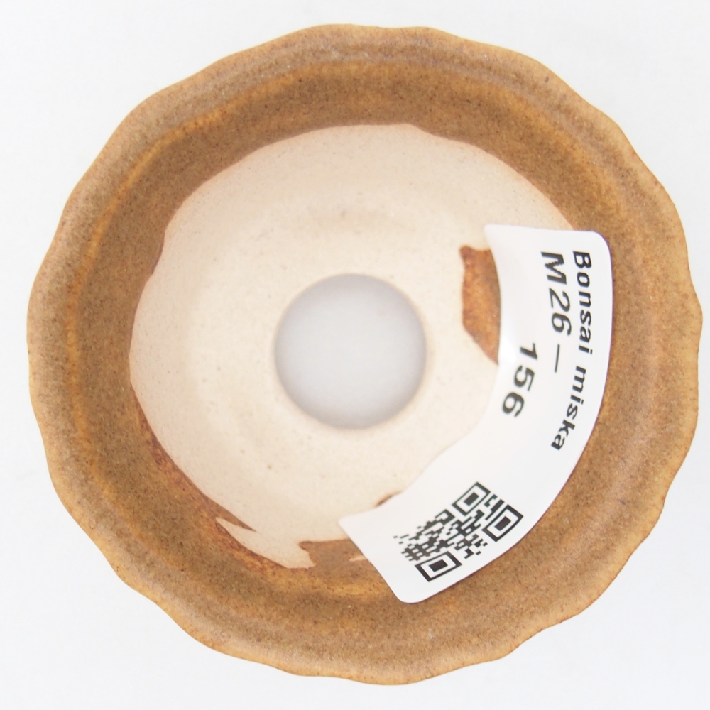 Mini cuenco bonsái 5,5 x 5,5 x 3 cm, marrón