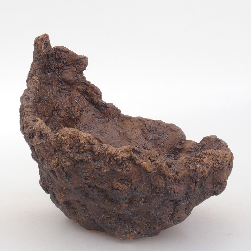 Concha de cerámica 13,5 x 12 x 13,5 cm , color marrón