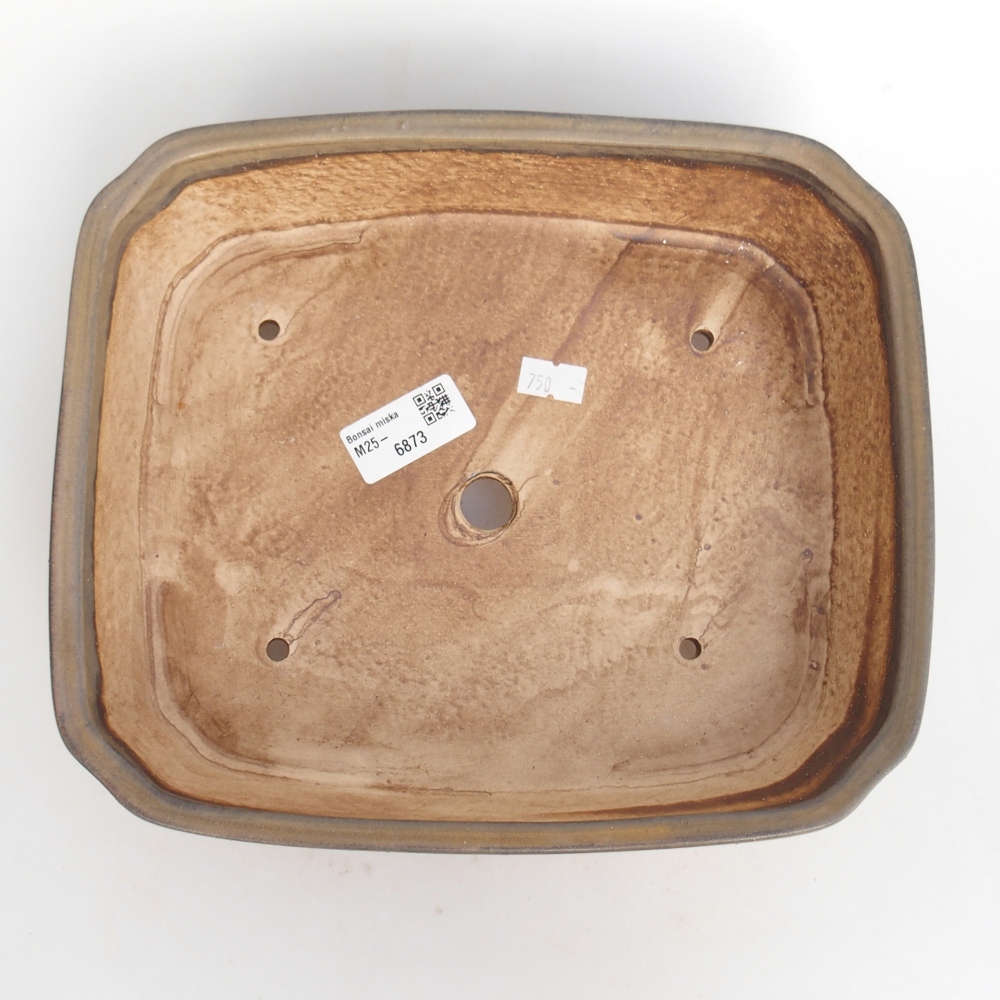 Cuenco bonsái de cerámica 25 x 21,5 x 6,5 cm, marrón