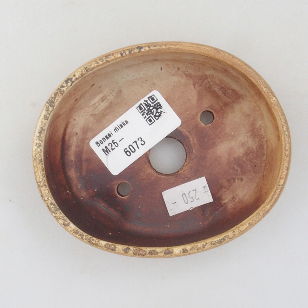 Cuenco bonsái de cerámica 10 x 8,5 x 4 cm, marrón