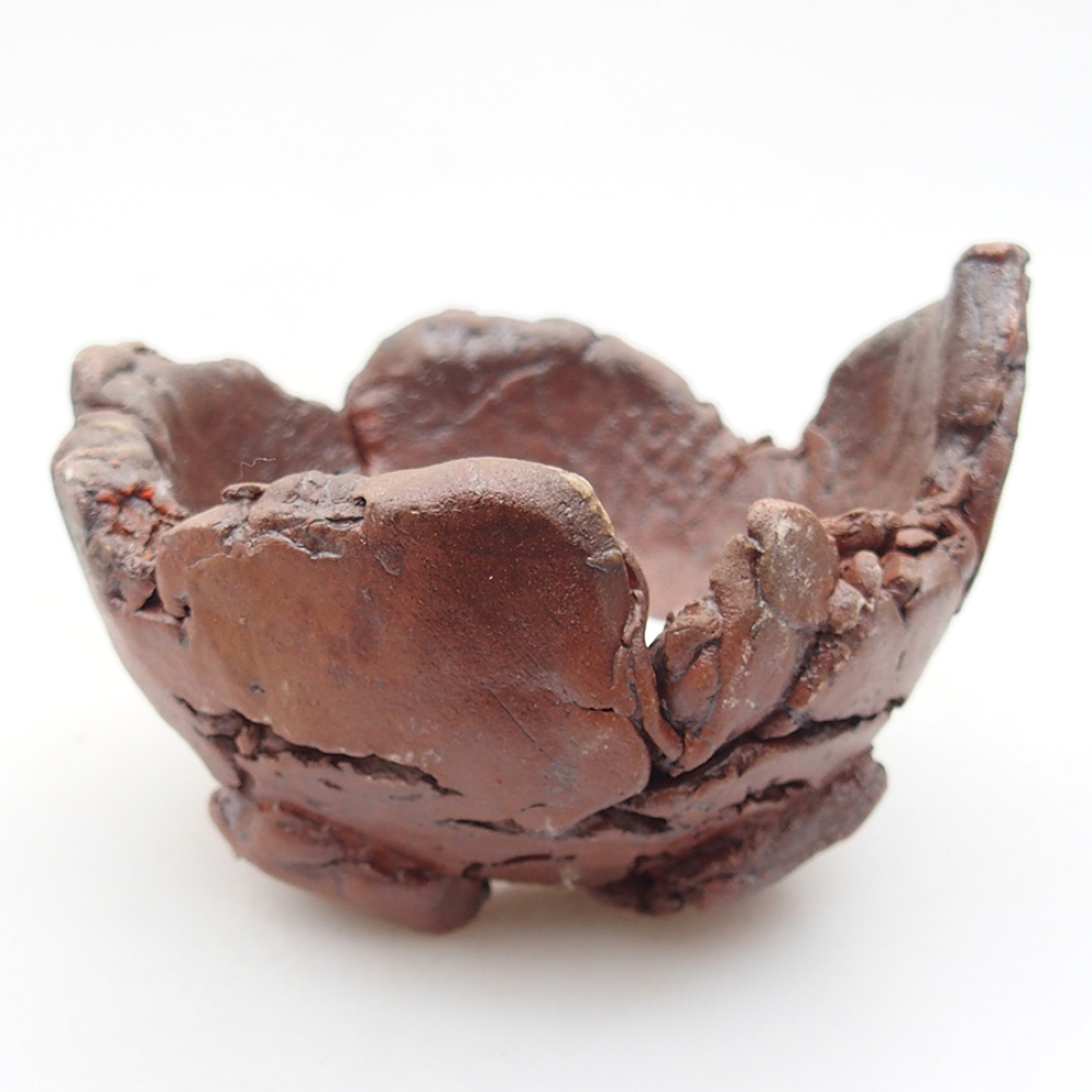 Concha de cerámica 10 x 9 x 7 cm , color marrón