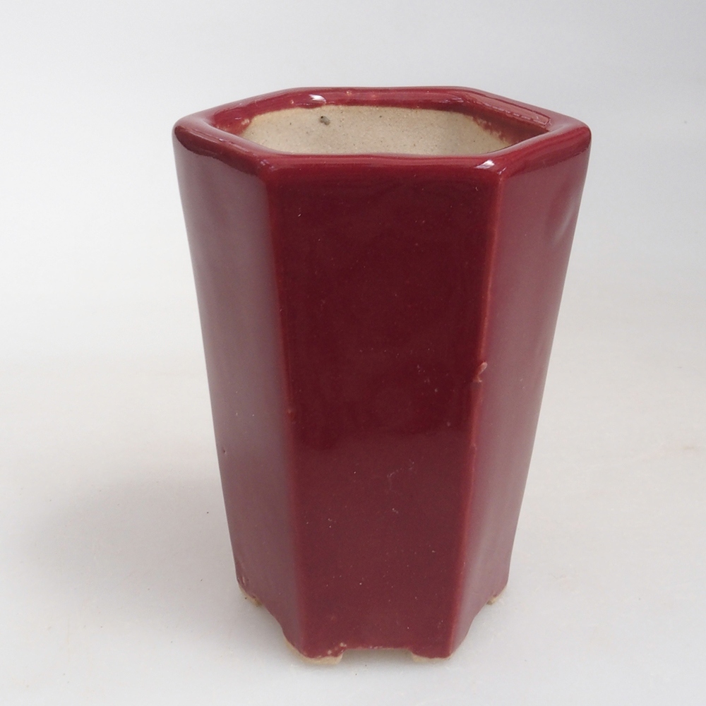 Cuenco mini bonsái 4,5 x 4 x 6 cm, burdeos