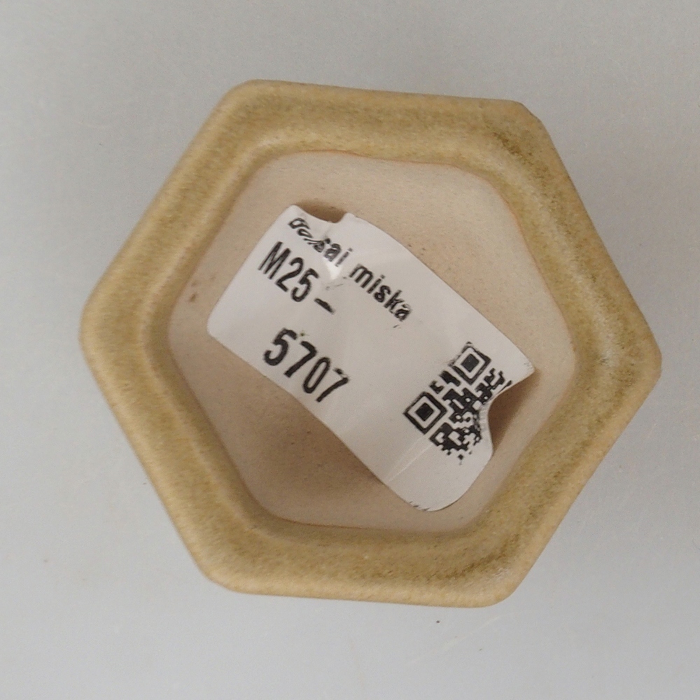 Cuenco mini bonsái 5 x 4,5 x 3 cm, marrón