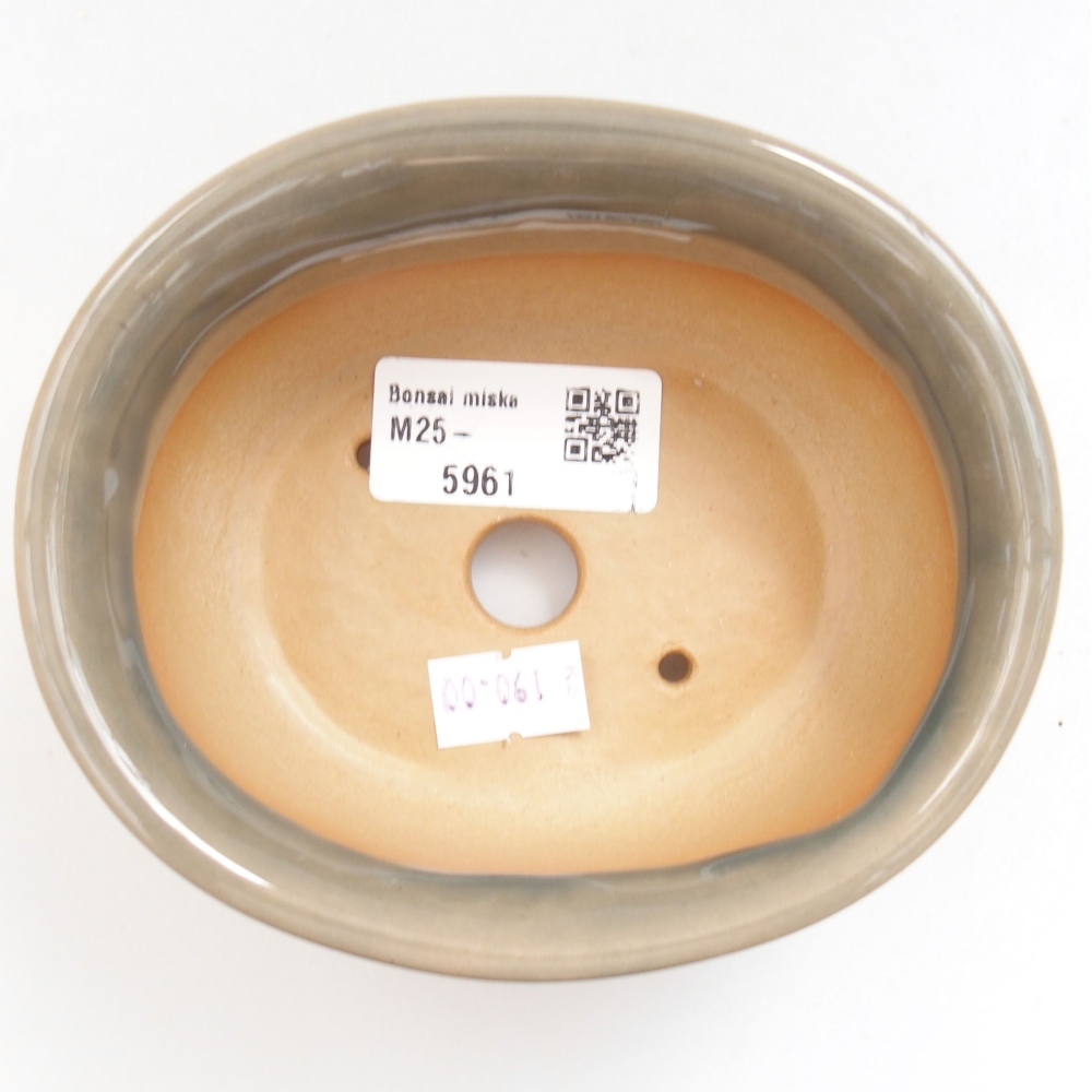 Cuenco bonsái de cerámica 22 x 17 x 5 cm, verde