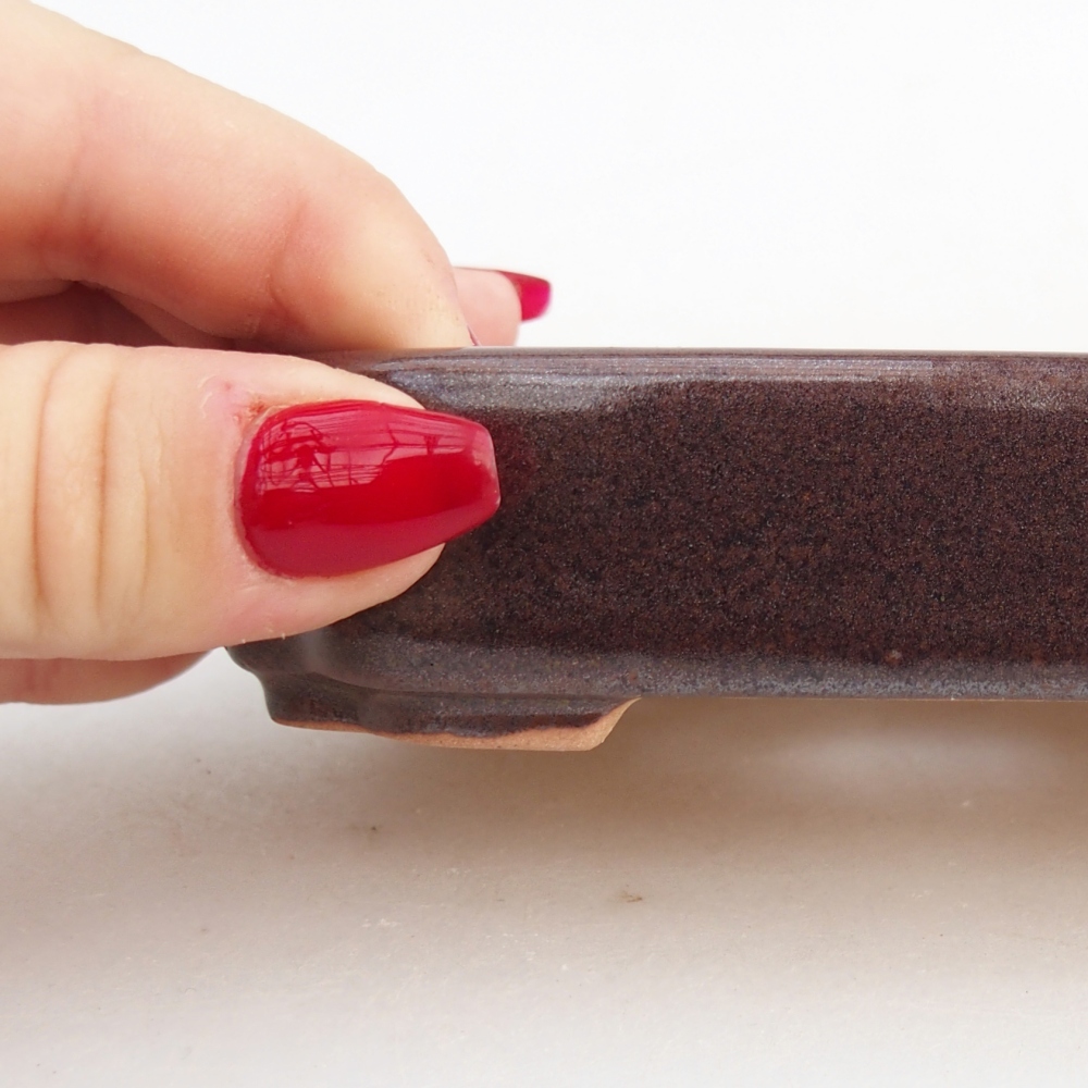 Cuenco bonsái de cerámica 12,5 x 9 x 3 cm, marrón