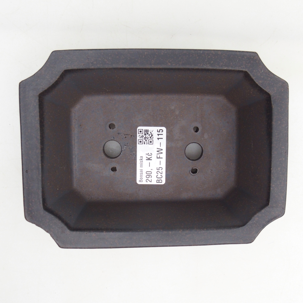 Cuenco bonsái de cerámica 16 x 12 x 5 cm, ocre pardusco