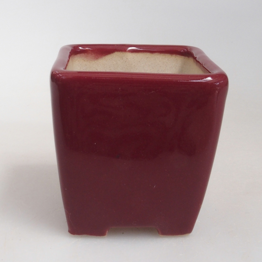 Cuenco mini bonsái 4,5 x 4,5 x 4,5 cm, burdeos