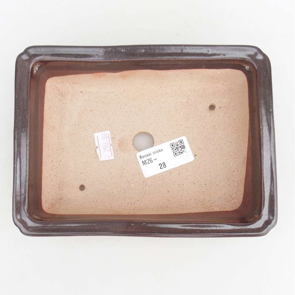 Cuenco bonsái de cerámica 18 x 13,5 x 4,5 cm, marrón