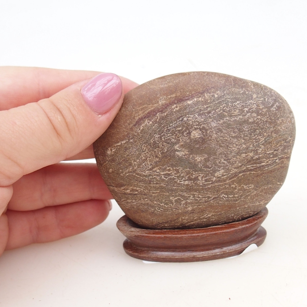 Suiseki - Piedra con DAI (base de madera)