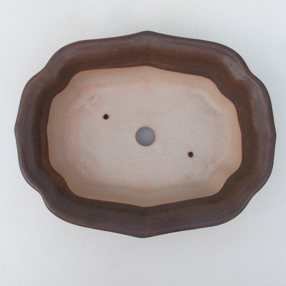 Cuenco bonsái H51 - 18 x 14 x 5 cm - marrón