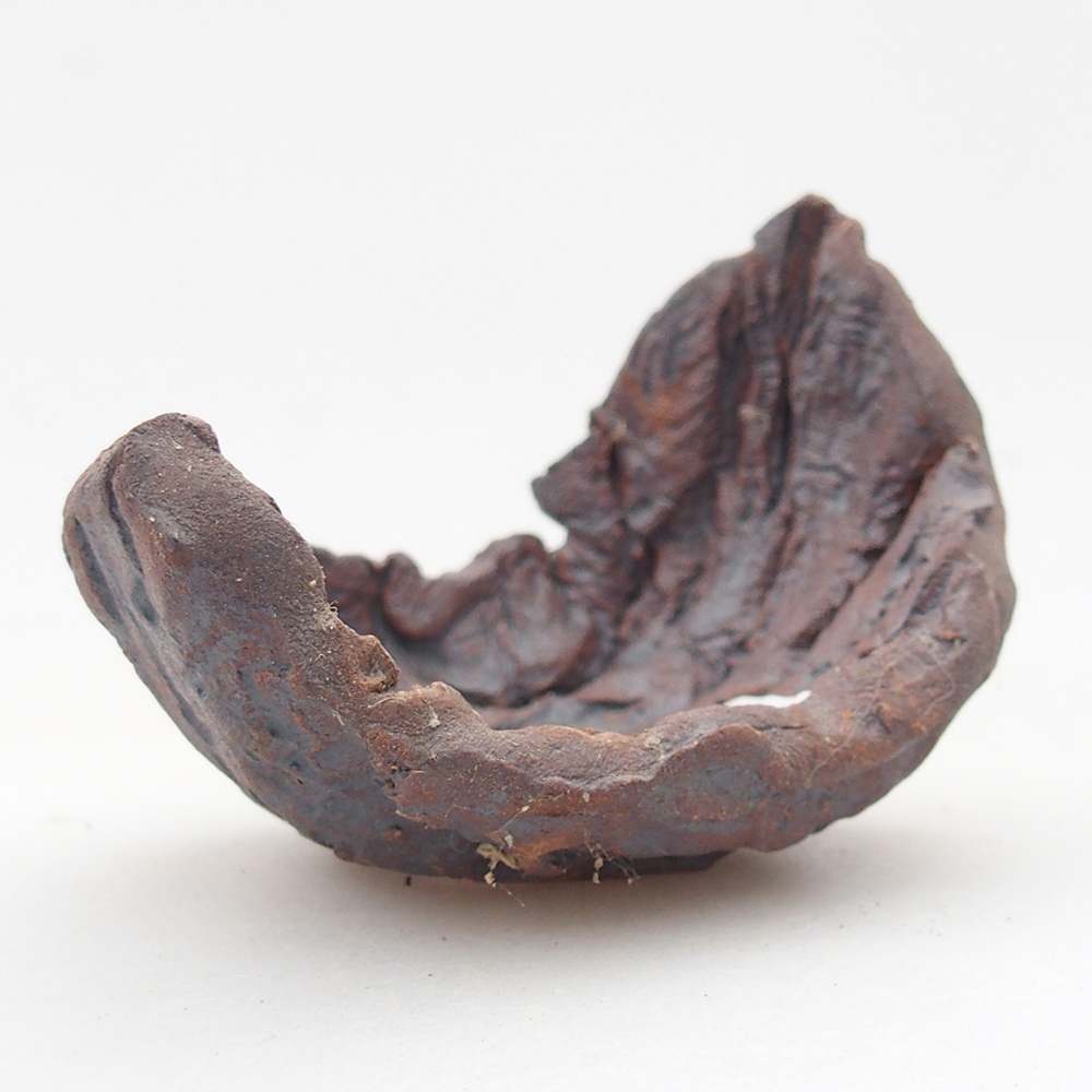 Concha de cerámica 7,5 x 5,5 x 6 cm , color marrón