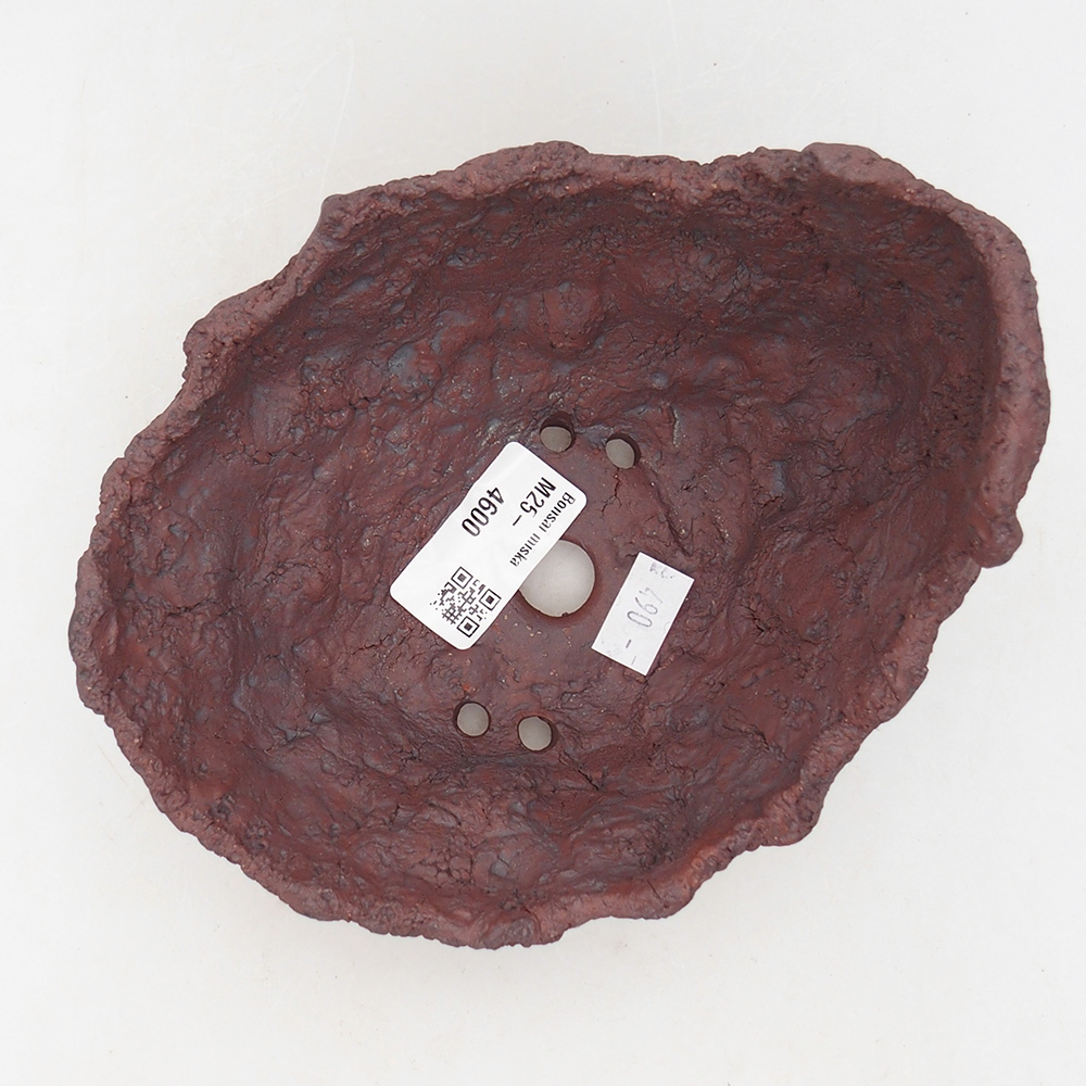 Concha de cerámica 14 x 13 x 11,5 cm , color marrón