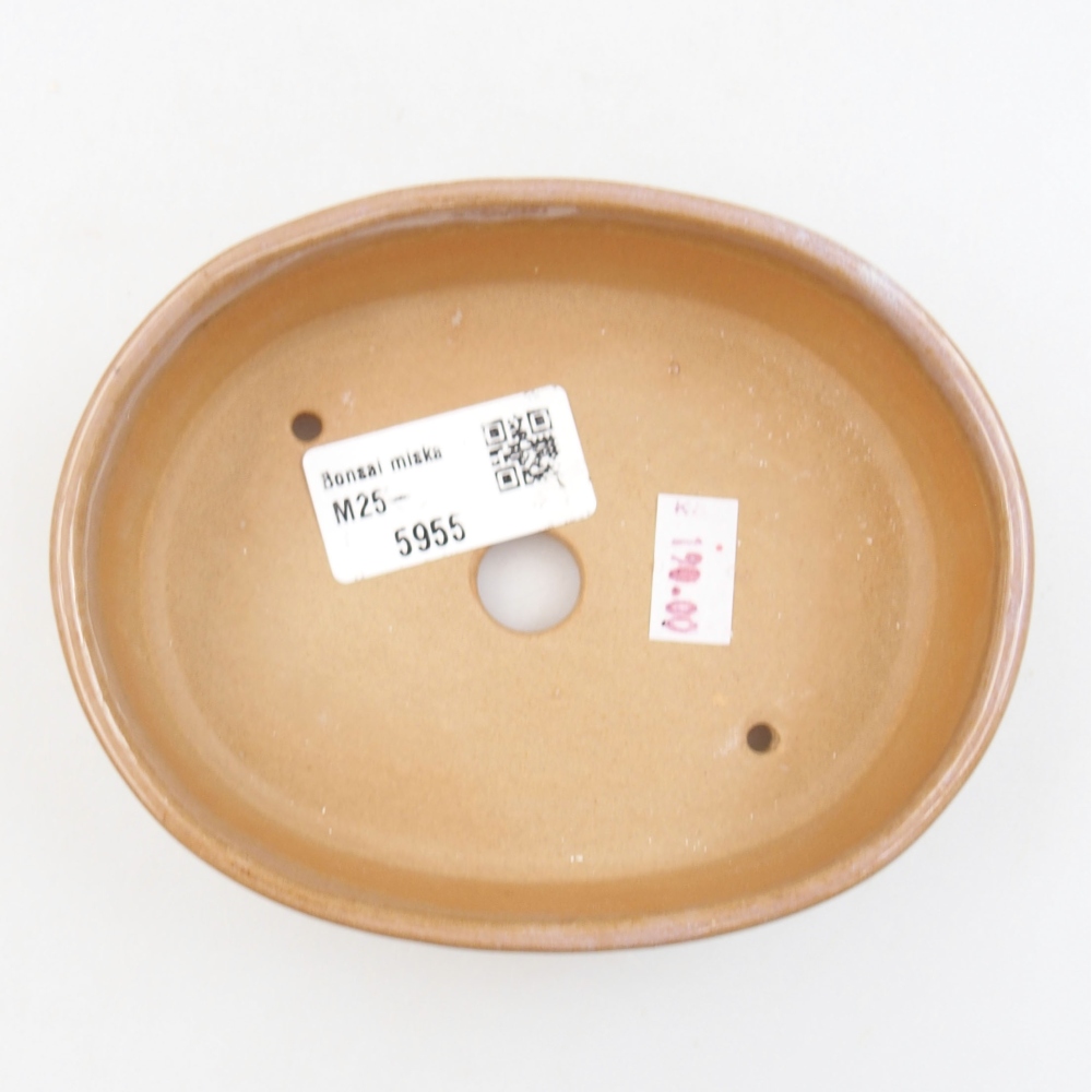 Cuenco bonsái de cerámica 22 x 17 x 5 cm, verde