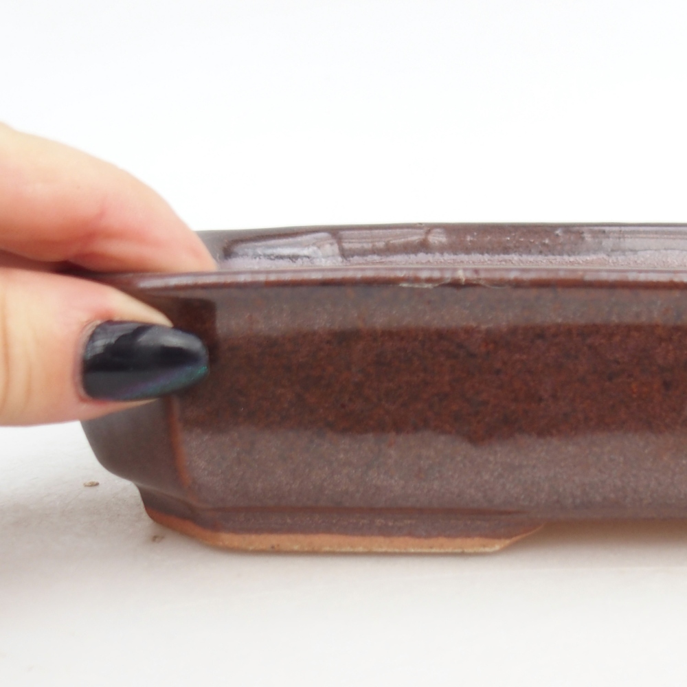 Cuenco bonsái de cerámica 18,5 x 13,5 x 4,5 cm, marrón