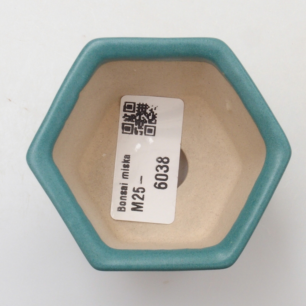 Cuenco bonsái de cerámica 6,5 x 5,5 x 4 cm, color azul