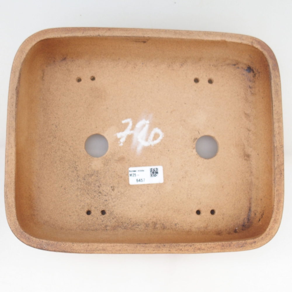 Cuenco bonsái 30 x 24 x 7 cm , color marrón