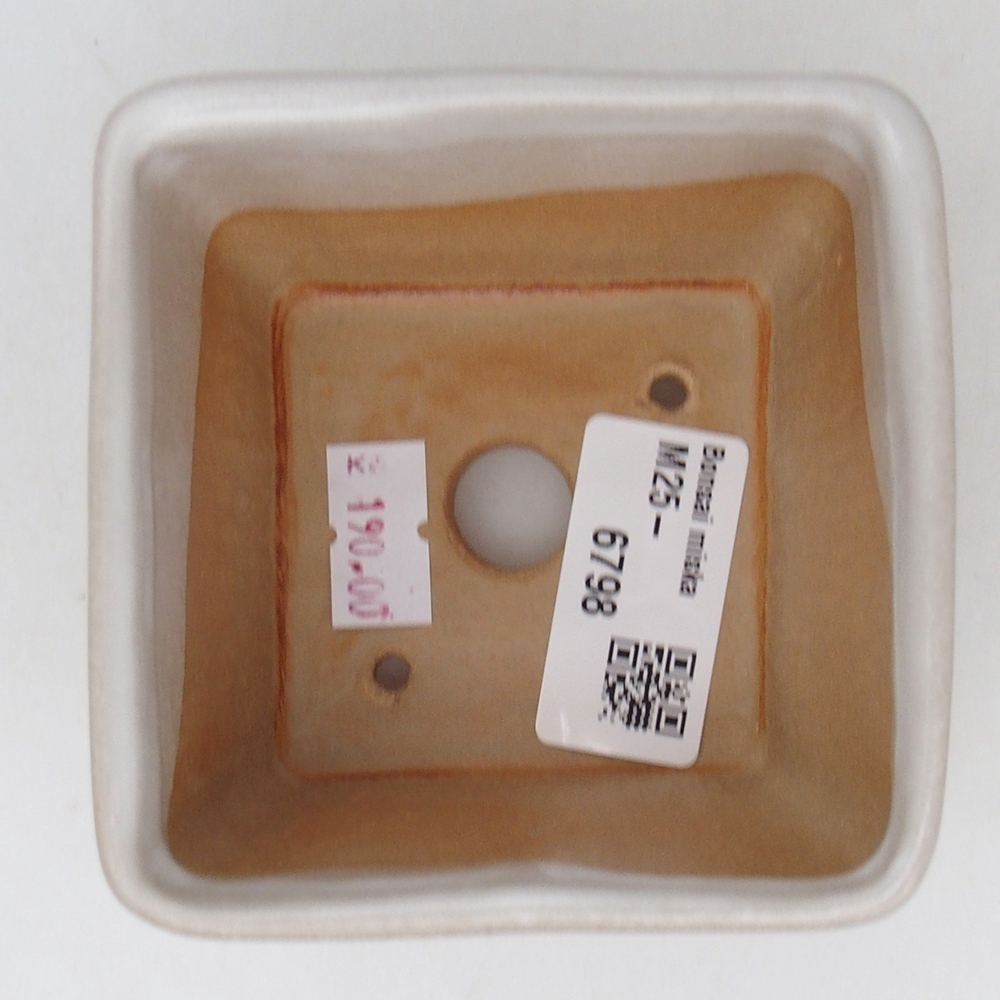 Cuenco bonsái de cerámica 8,5 x 8,5 x 6 cm, blanco