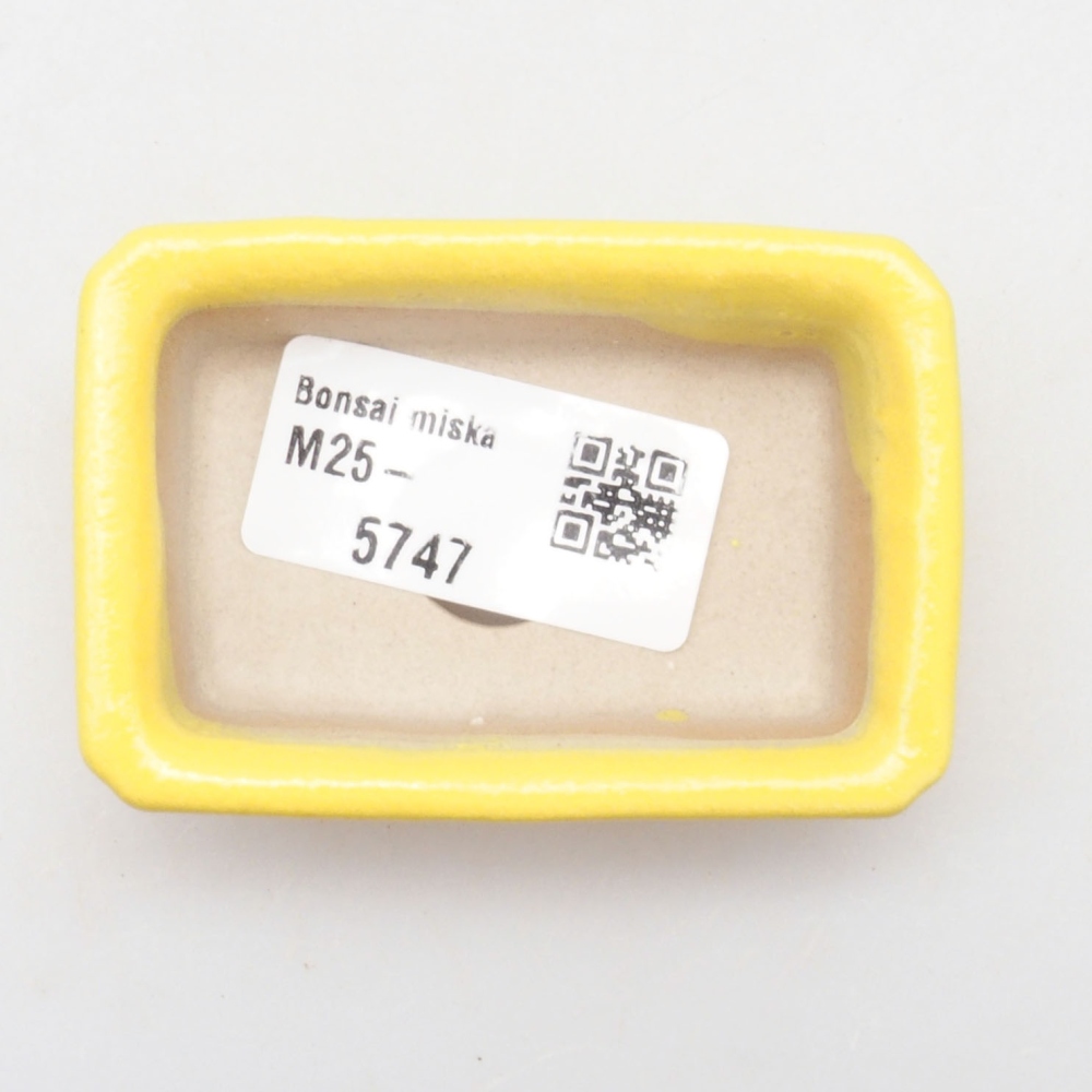 Cuenco bonsái de cerámica 7 x 4,5 x 2 cm, amarillo