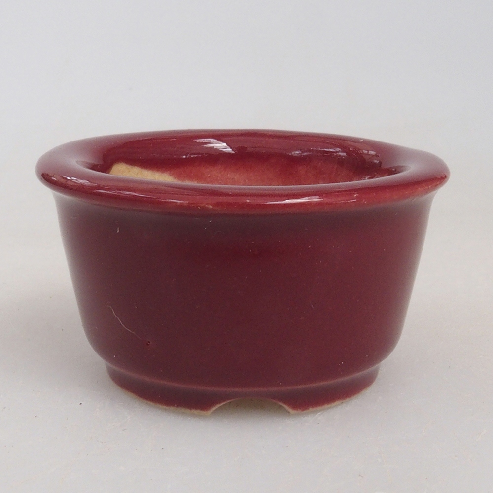 Cuenco mini bonsái 4 x 4 x 2 cm, burdeos