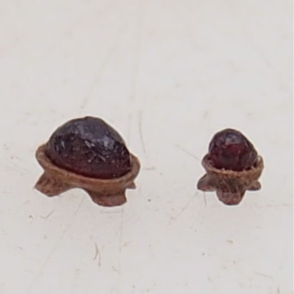 Suiseki - Piedra con DAI (base de madera)