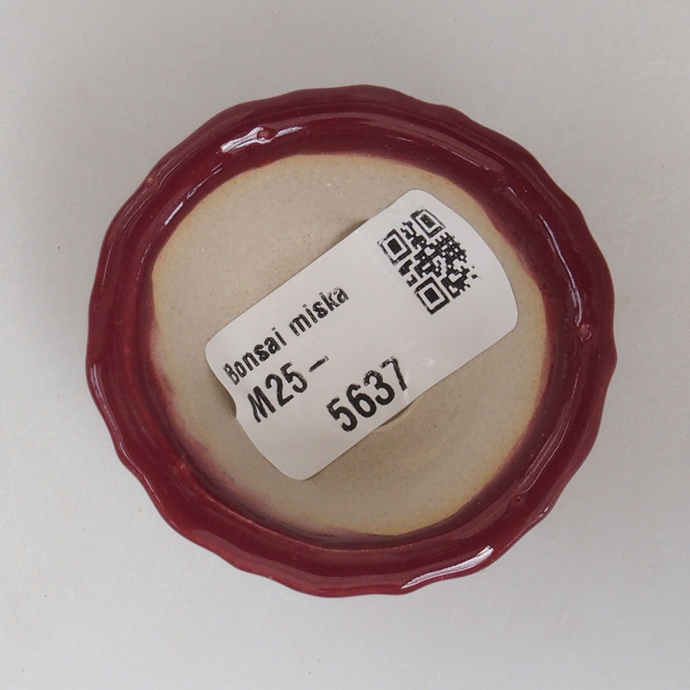 Mini cuenco bonsái 5 x 5 x 2,5 cm, color burdeos