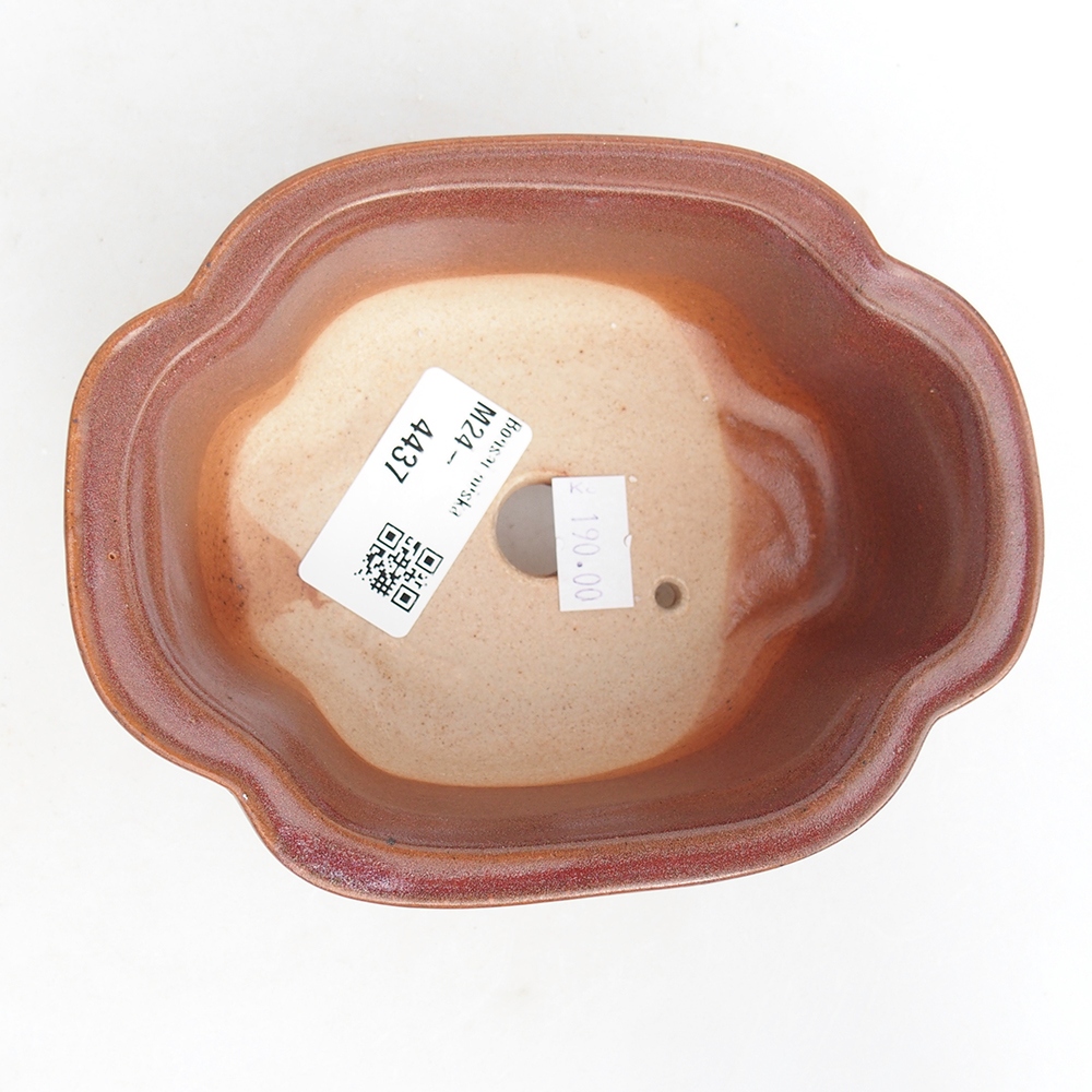 Cuenco bonsái de cerámica 13 x 10,5 x 5,5 cm, burdeos
