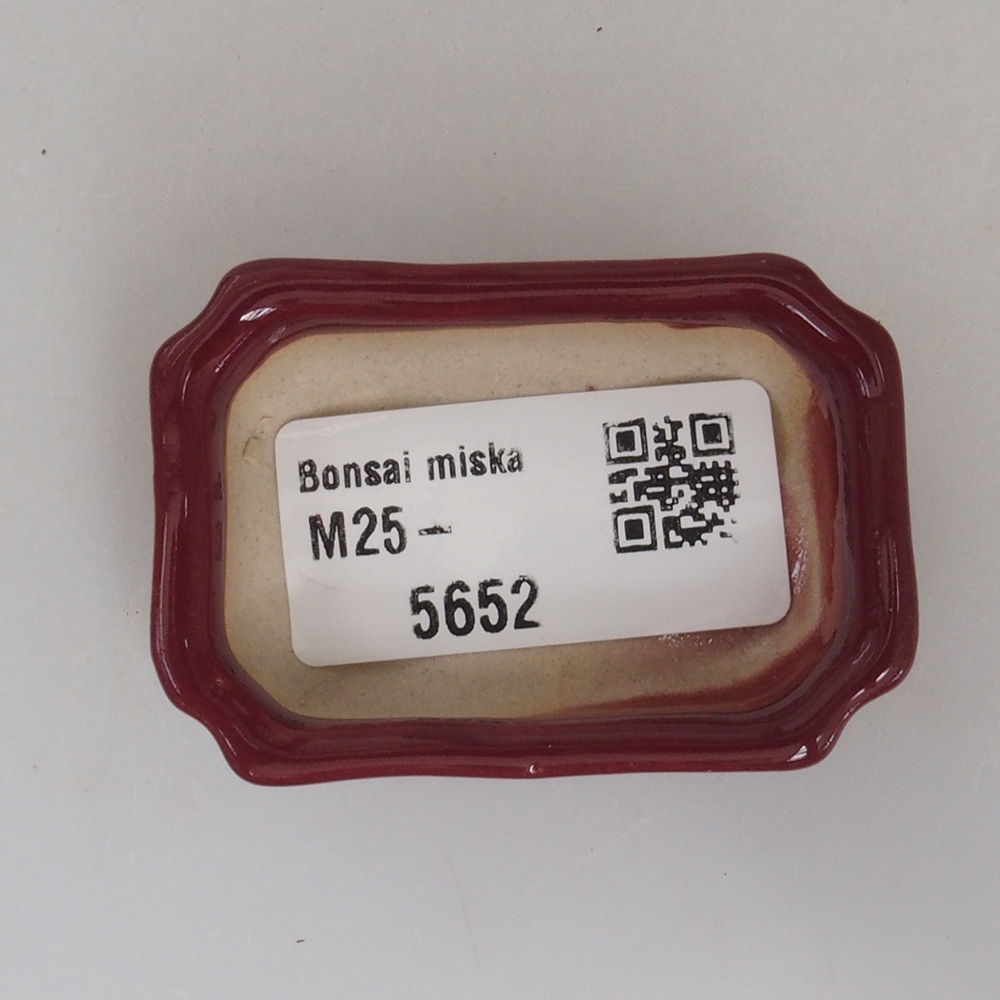 Cuenco mini bonsái 5,5 x 3,5 x 1,5 cm, burdeos