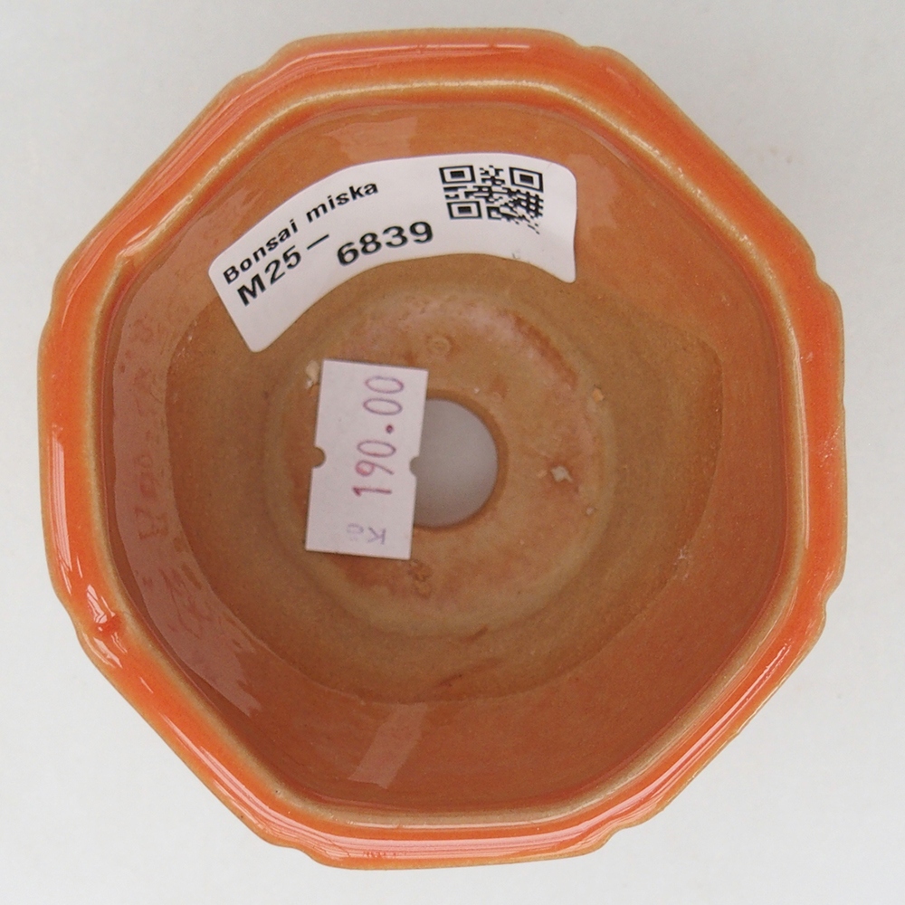 Cuenco bonsái de cerámica 7,5 x 7,5 x 6 cm, naranja