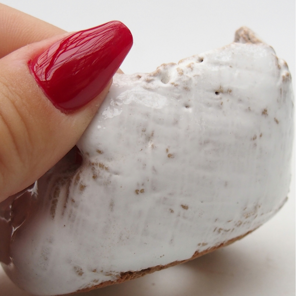 Concha de cerámica 7 x 6,5 x 5 cm , color blanco