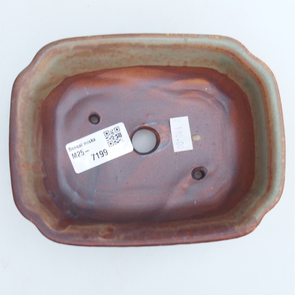 Cuenco bonsái de cerámica 16 x 12 x 5 cm, verde