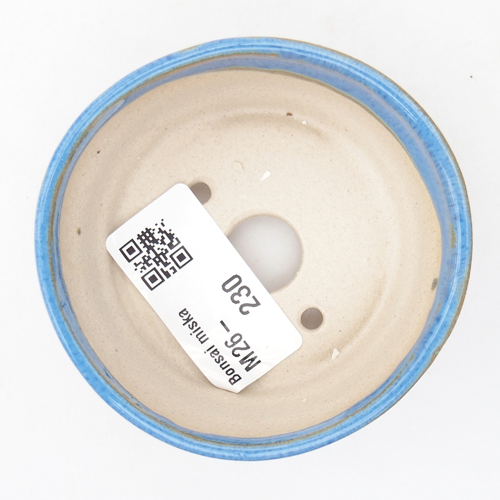 Mini cuenco bonsái 7 x 7 x 3 cm, azul