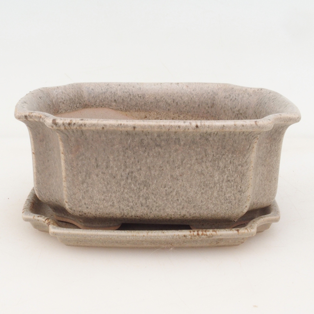 Cuenco bonsái + platillo H01 - beige