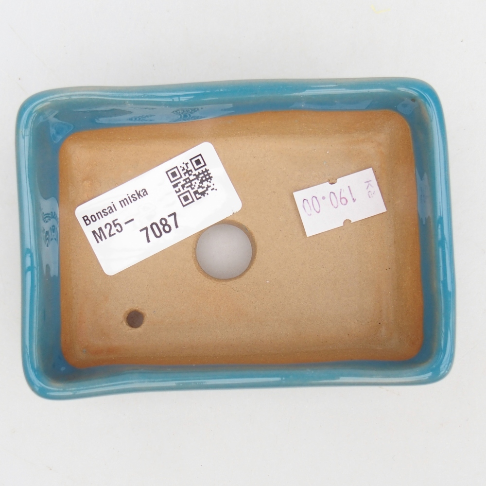 Cuenco bonsái de cerámica 10 x 7 x 3 cm, color azul