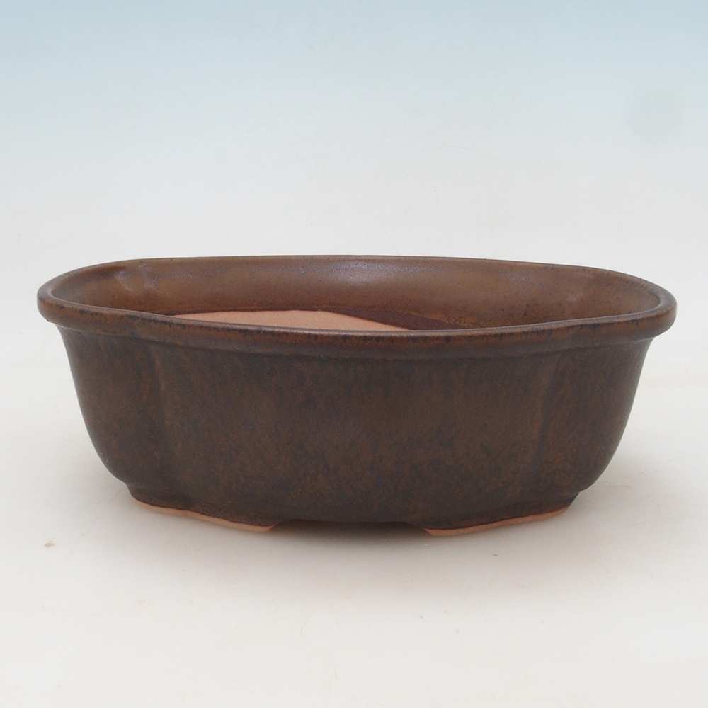 Cuenco bonsái H75 - 19 x 14 x 6,5 cm.