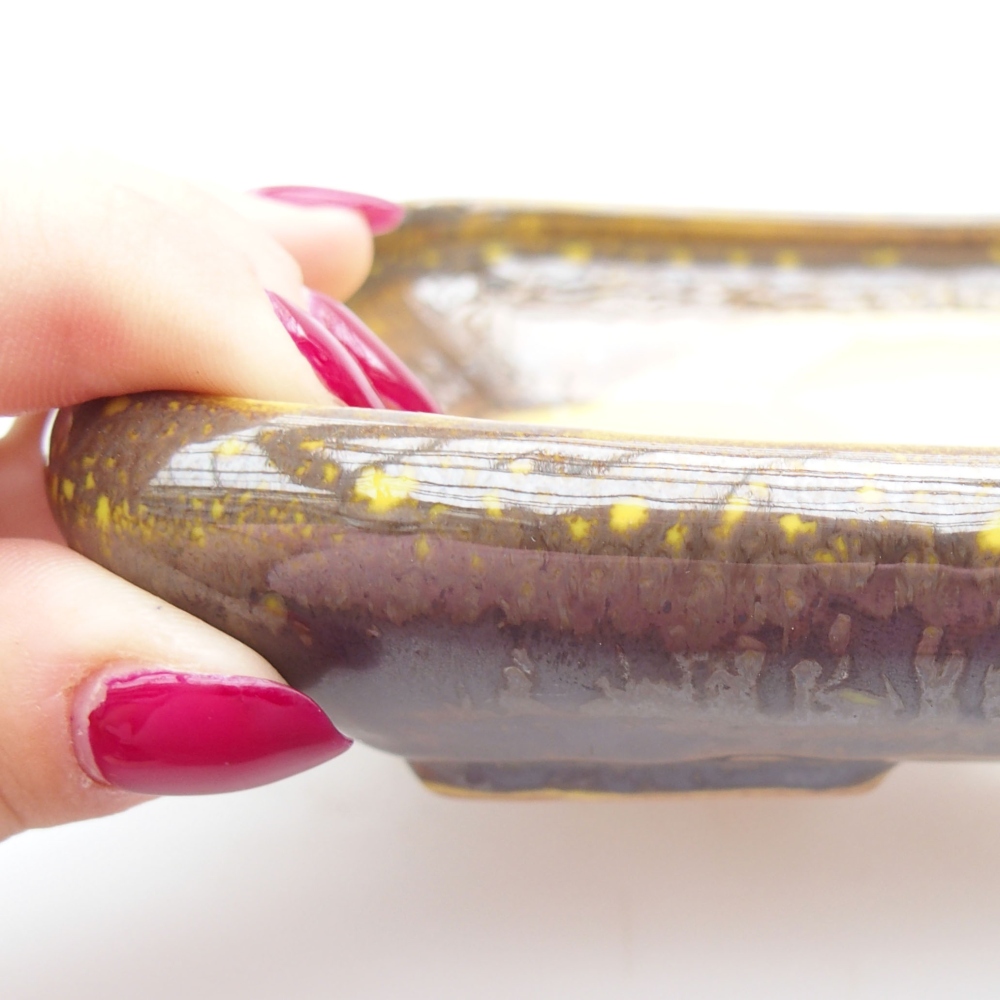 Cuenco bonsái de cerámica 17 x 14 x 3,5 cm, amarillo