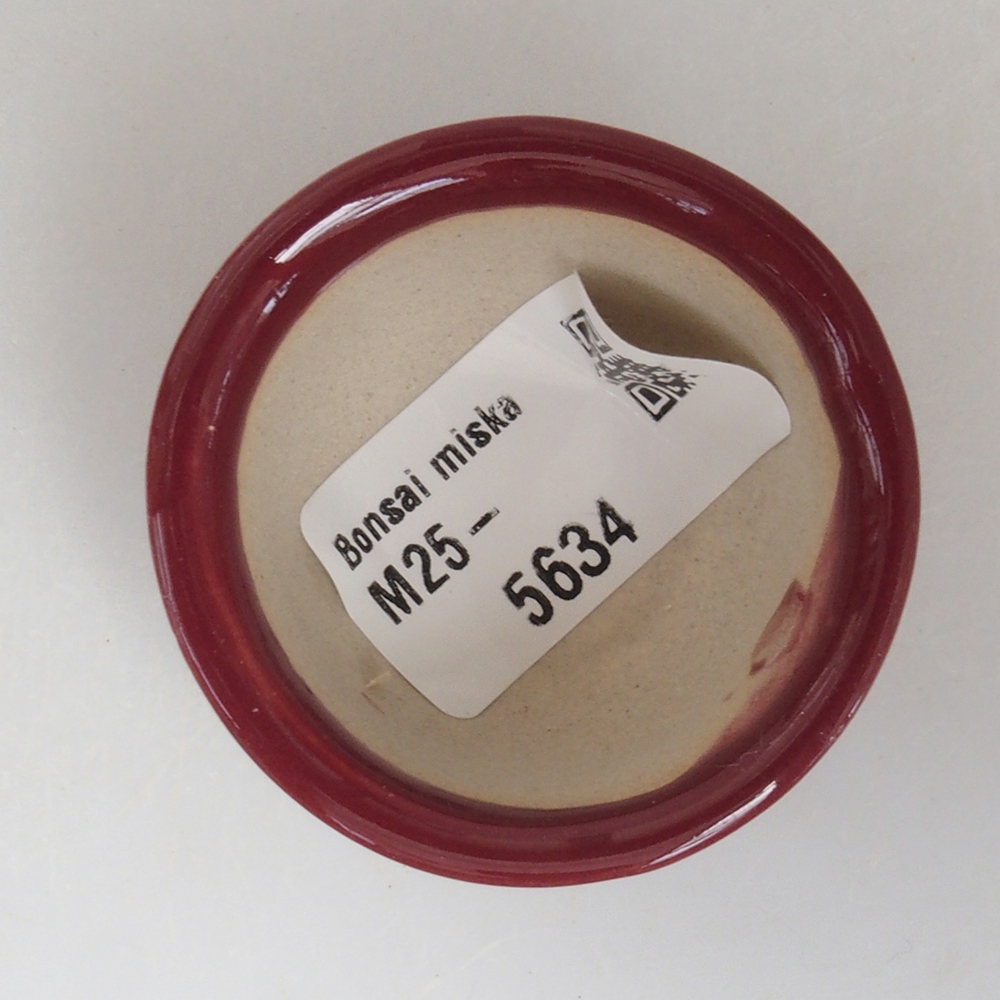 Cuenco mini bonsái 4,5 x 4,5 x 2,5 cm, burdeos