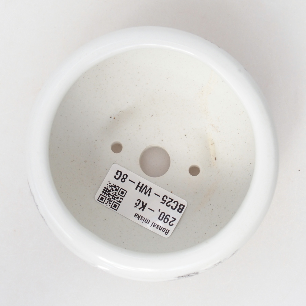 Cuenco bonsái de cerámica 10 x 10 x 5 cm, color blanco