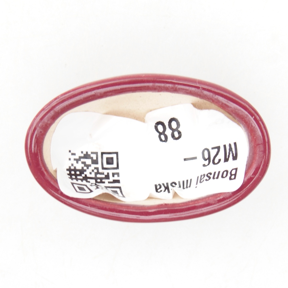 Cuenco mini bonsái 4 x 2,5 x 2 cm, burdeos