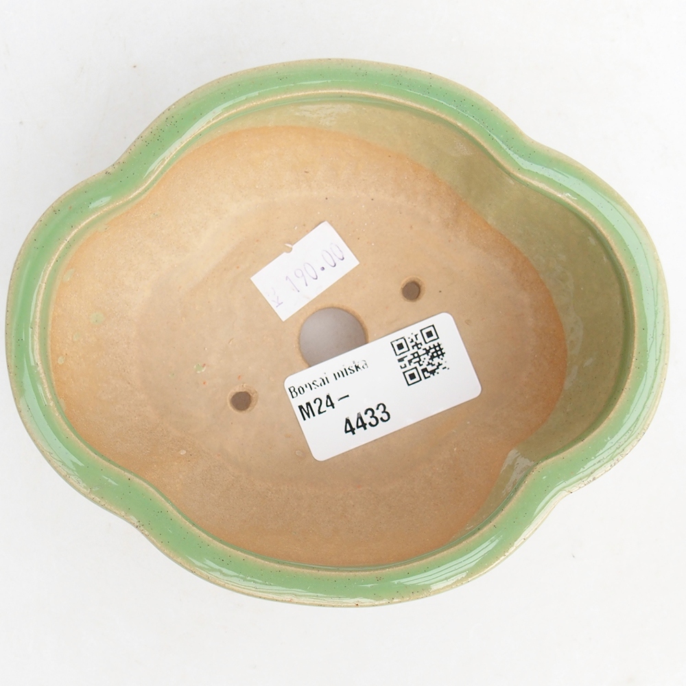 Cuenco bonsái de cerámica 12,5 x 10,5 x 5 cm, verde